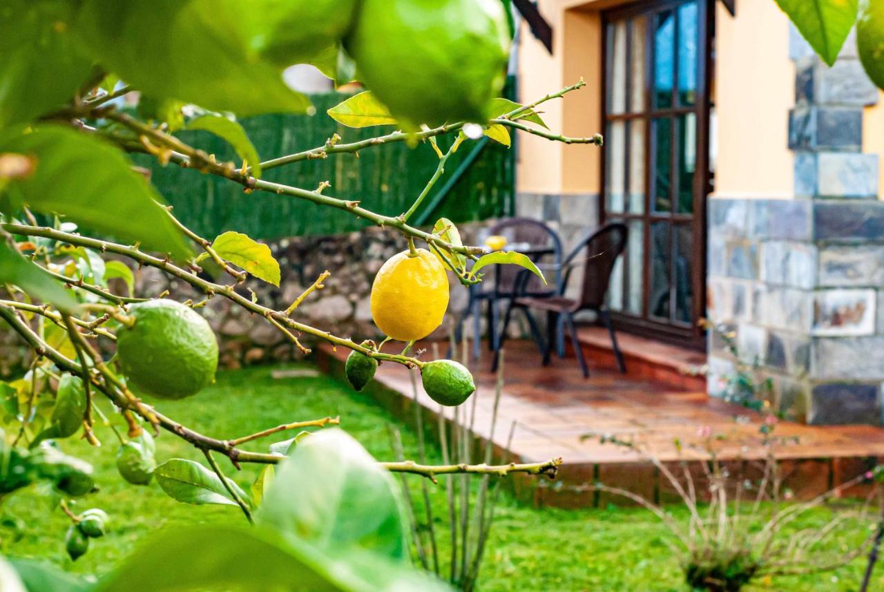 Casa Sabina Zona De Playa Y Montana Βίλα Llanes Εξωτερικό φωτογραφία